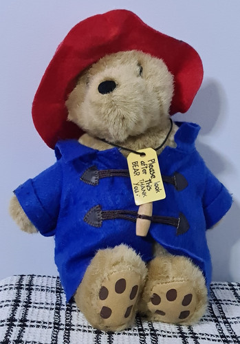 Paddington bear rainbow design - bear,