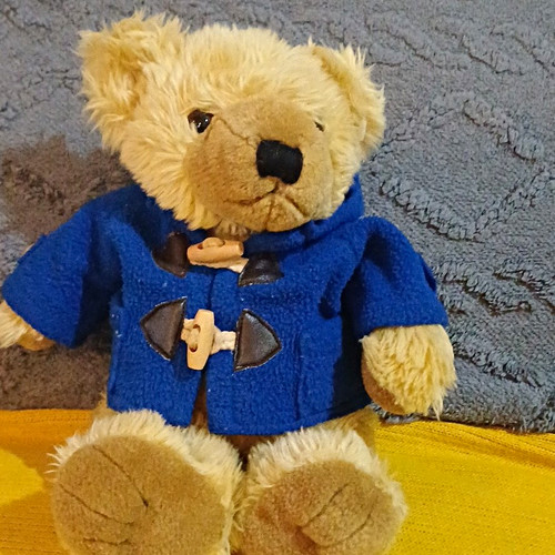 Paddington bear plush teddy - paddington,