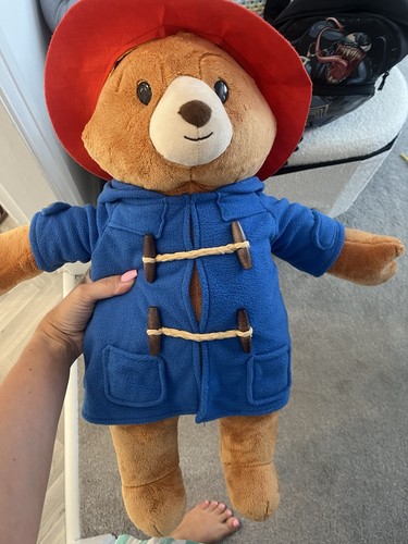 Paddington bear large teddy - paddington,