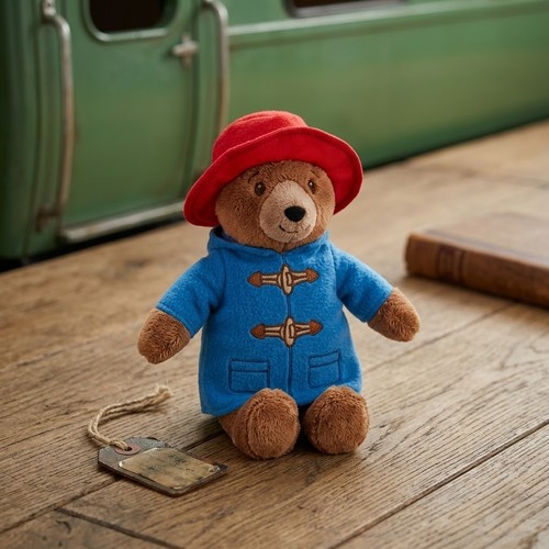 Paddington bear rainbow - bear,
