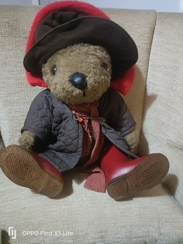 Paddington bear plush - bear, teddy