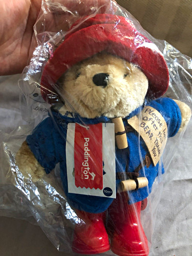 Rainbow designs paddington - rainbow,
