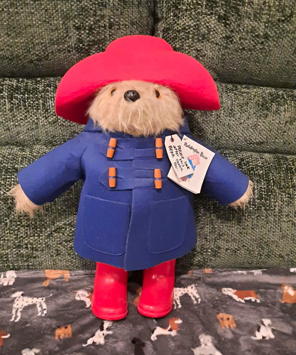 Paddington bear plush - plush, teddy