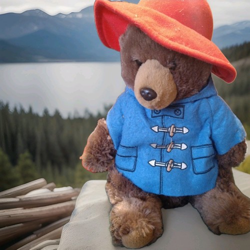 Paddington bear plush stuffed - bear,
