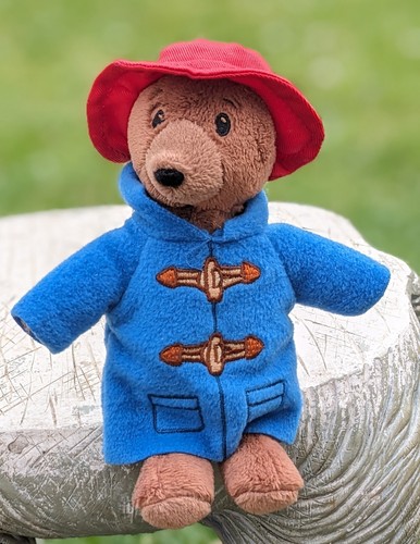 Paddington bear soft - bear,