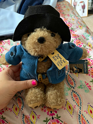 Rainbow designs paddington - rainbow,