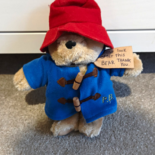 Paddington bear teddy - paddington, plush