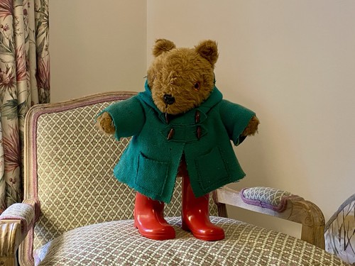 Vintage paddington style teddy - paddington,