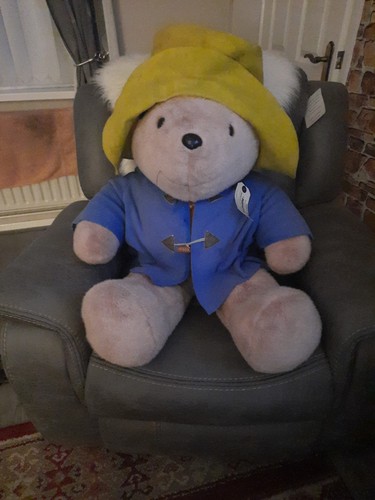 Paddington bear teddy - bear,