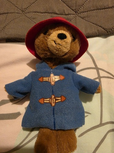 Small little paddington bear - paddington,