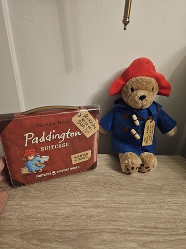 Paddington teddy and book - paddington,