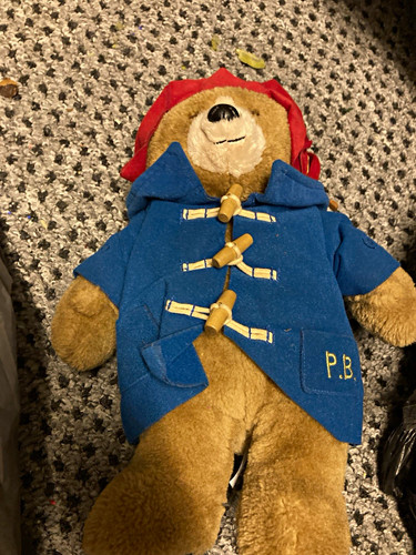 Paddington bear plush teddy - paddington,
