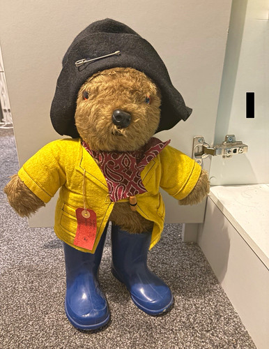 Paddington bear brown teddy - paddington,